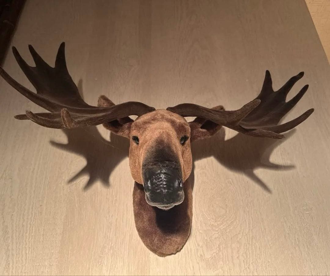ハンティングトロフィー　鹿