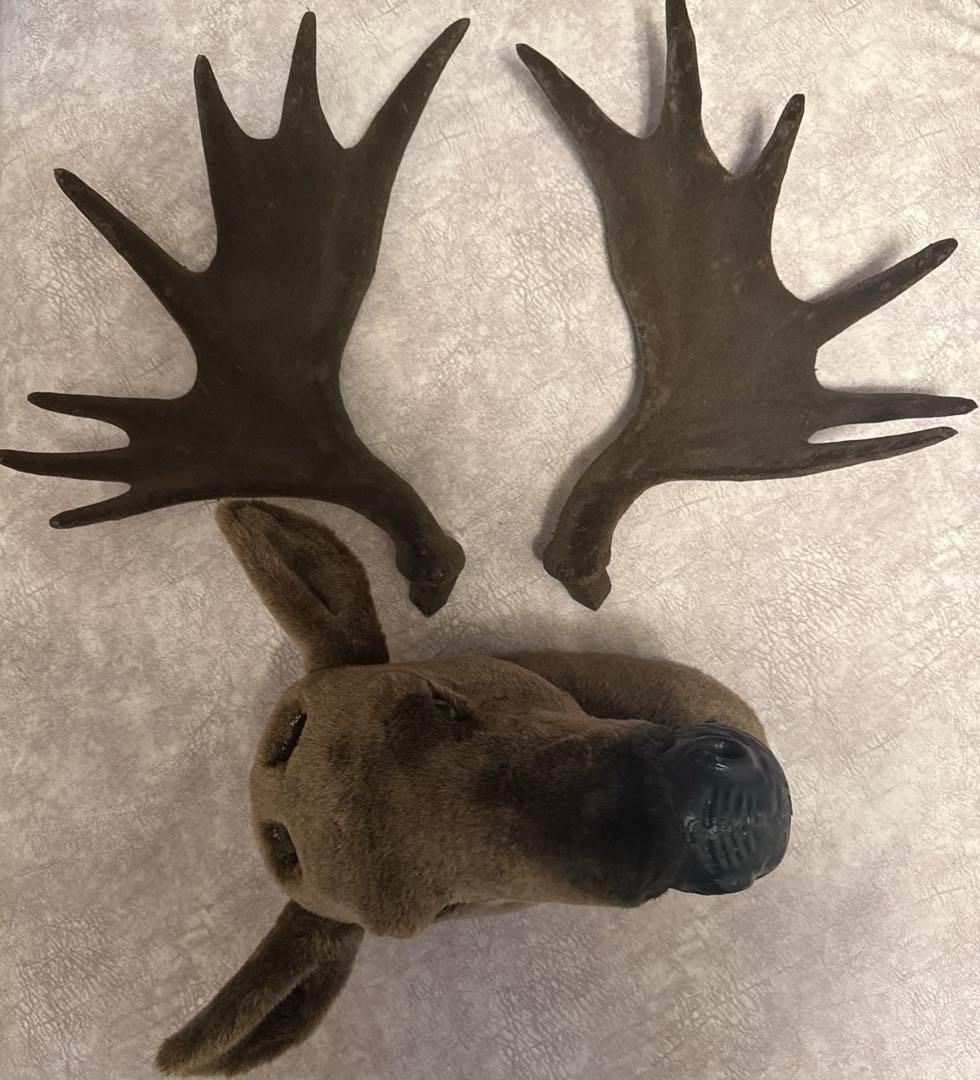 ハンティングトロフィー　鹿