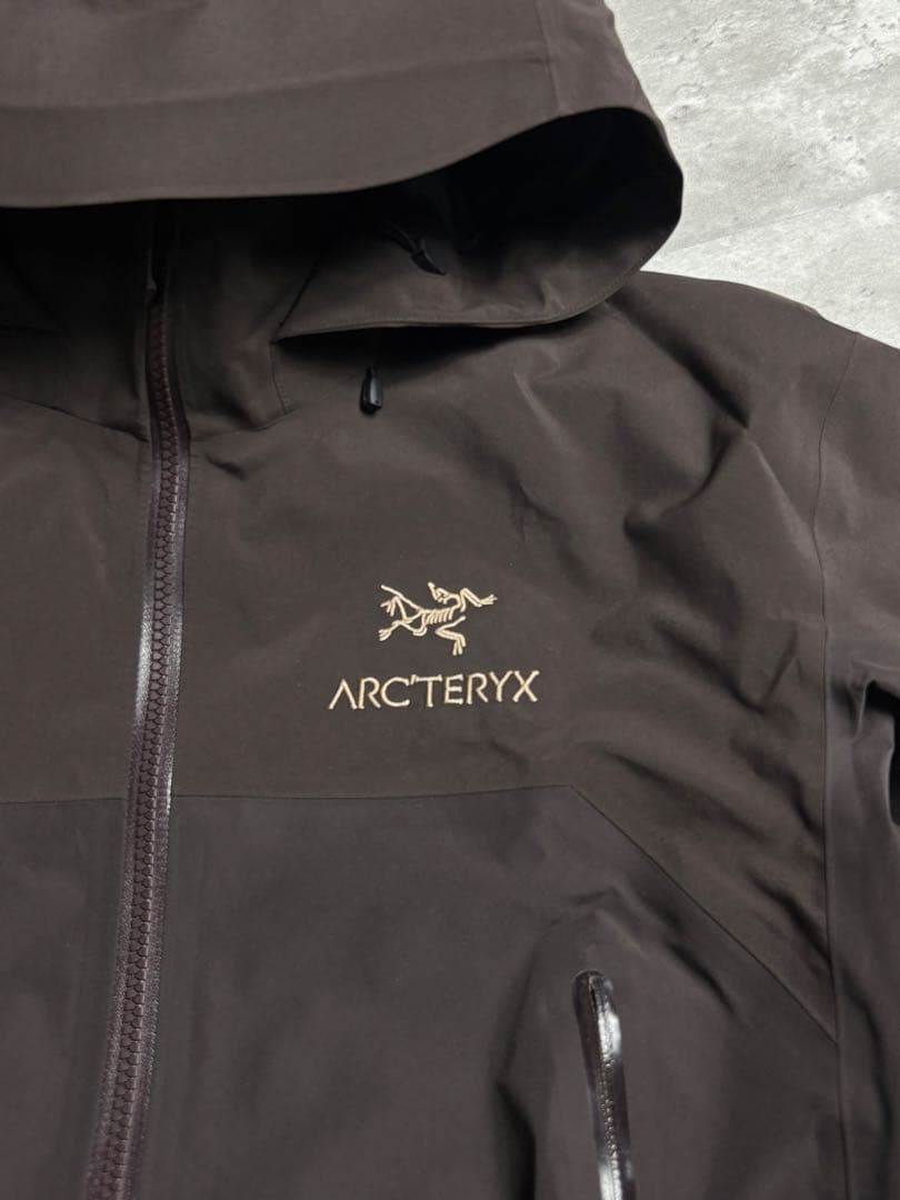 お*☆様 希少限定 田中シェン着ARC'TERYX Beta AR S bitt