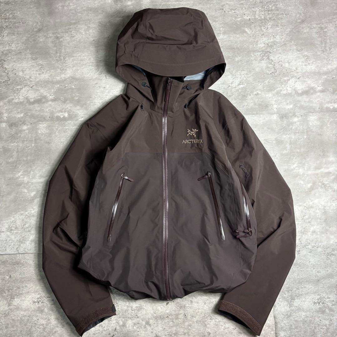 お*☆様 希少限定 田中シェン着ARC'TERYX Beta AR S bitt