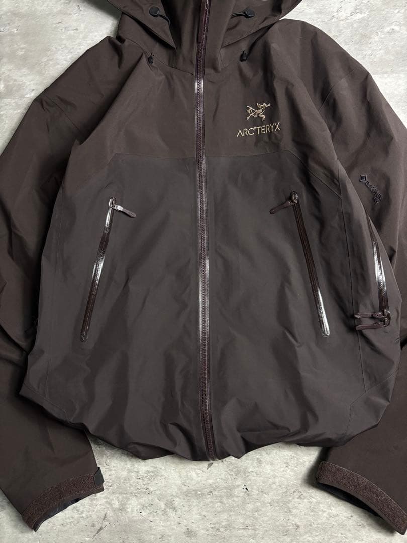 お*☆様 希少限定 田中シェン着ARC'TERYX Beta AR S bitt