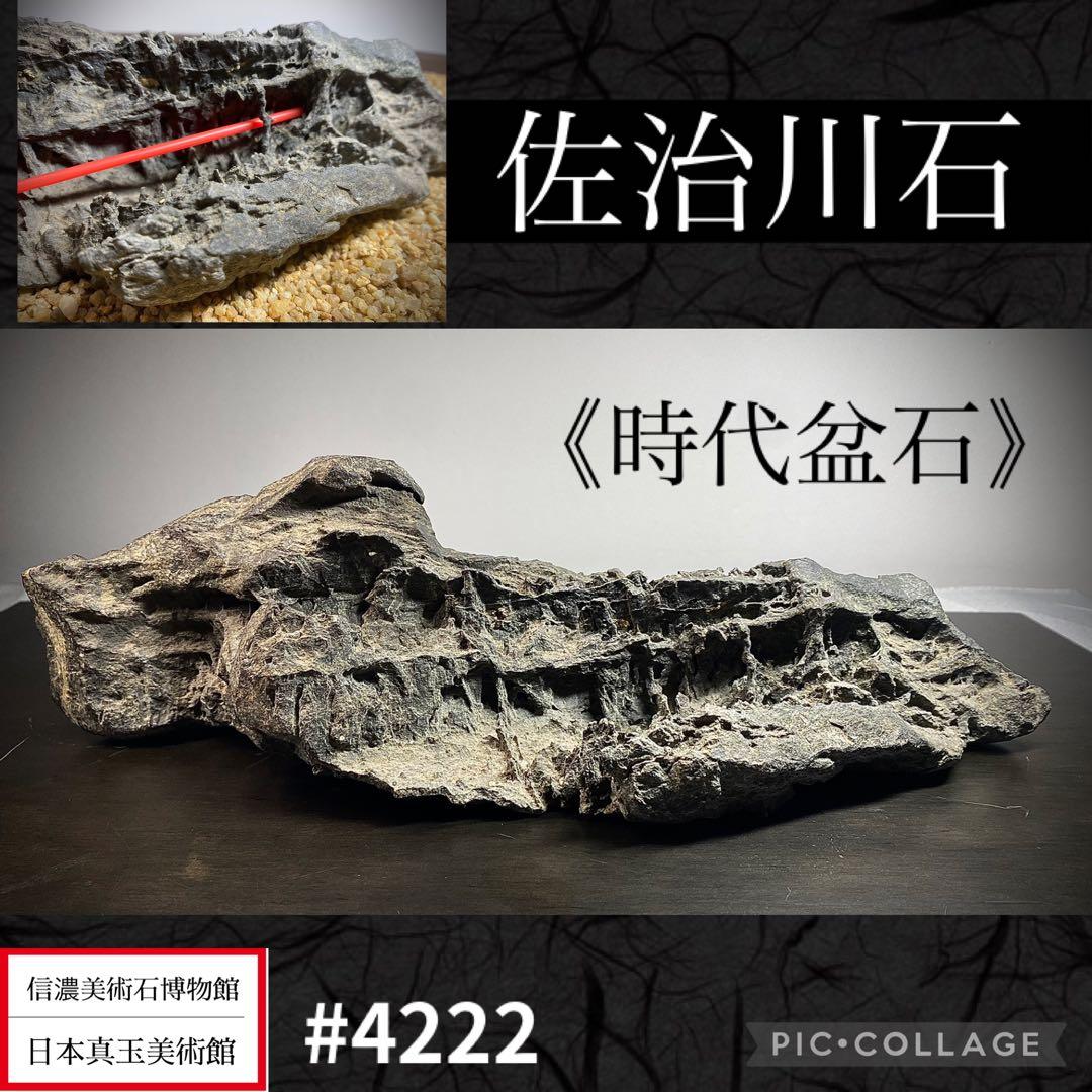 4222 佐治川石《希少》 水石 盆栽 盆石 置物 鑑賞石