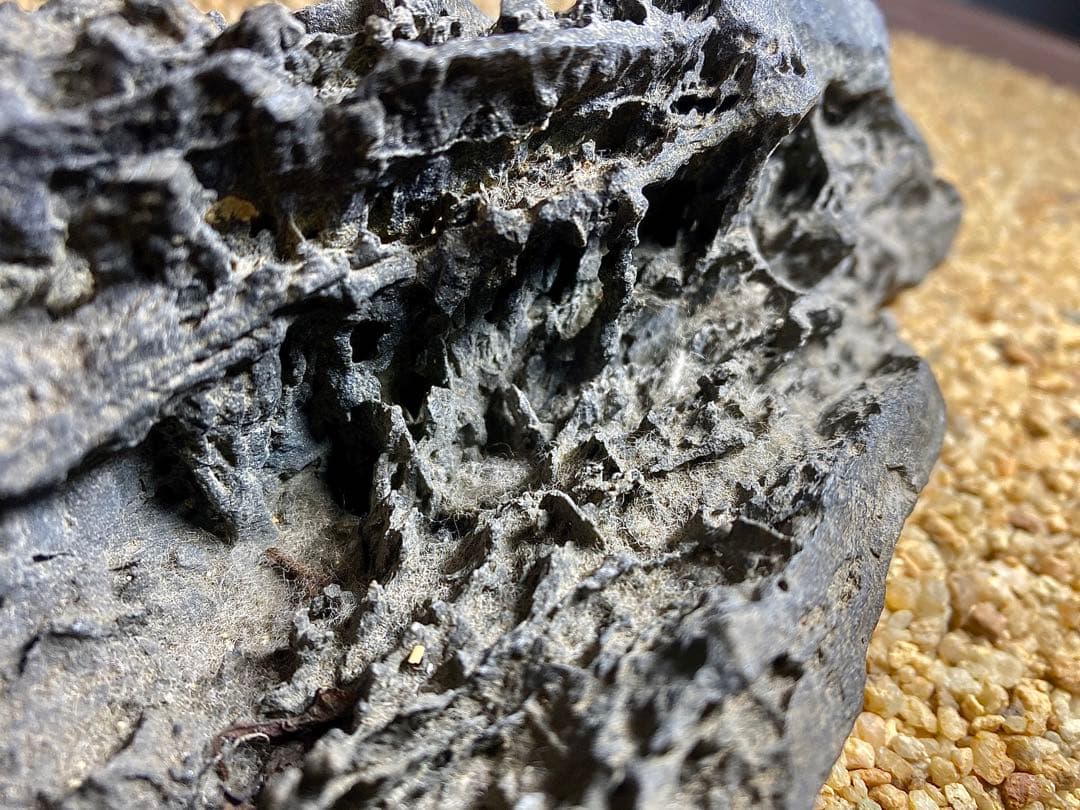 4222 佐治川石《希少》 水石 盆栽 盆石 置物 鑑賞石