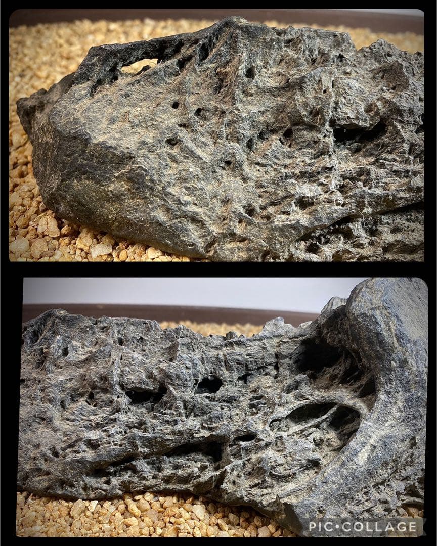 4222 佐治川石《希少》 水石 盆栽 盆石 置物 鑑賞石