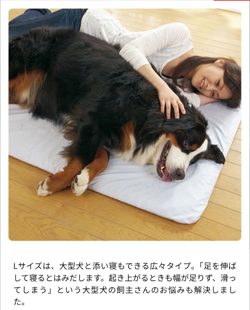 ペピイ　フィーヌエアマット　Lサイズ（シニア犬に快適）