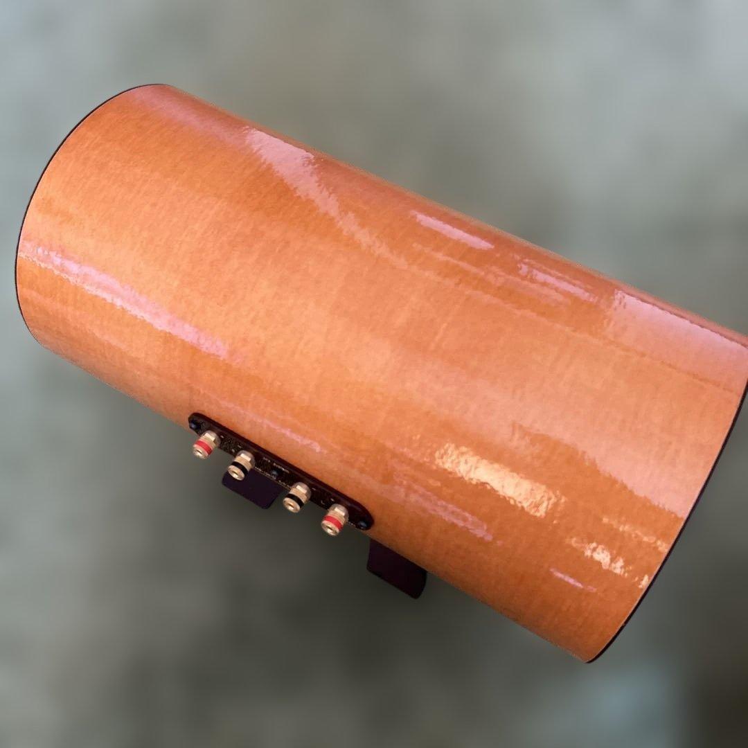 エムズシステム スピーカー 波動スピーカー MS1001-M