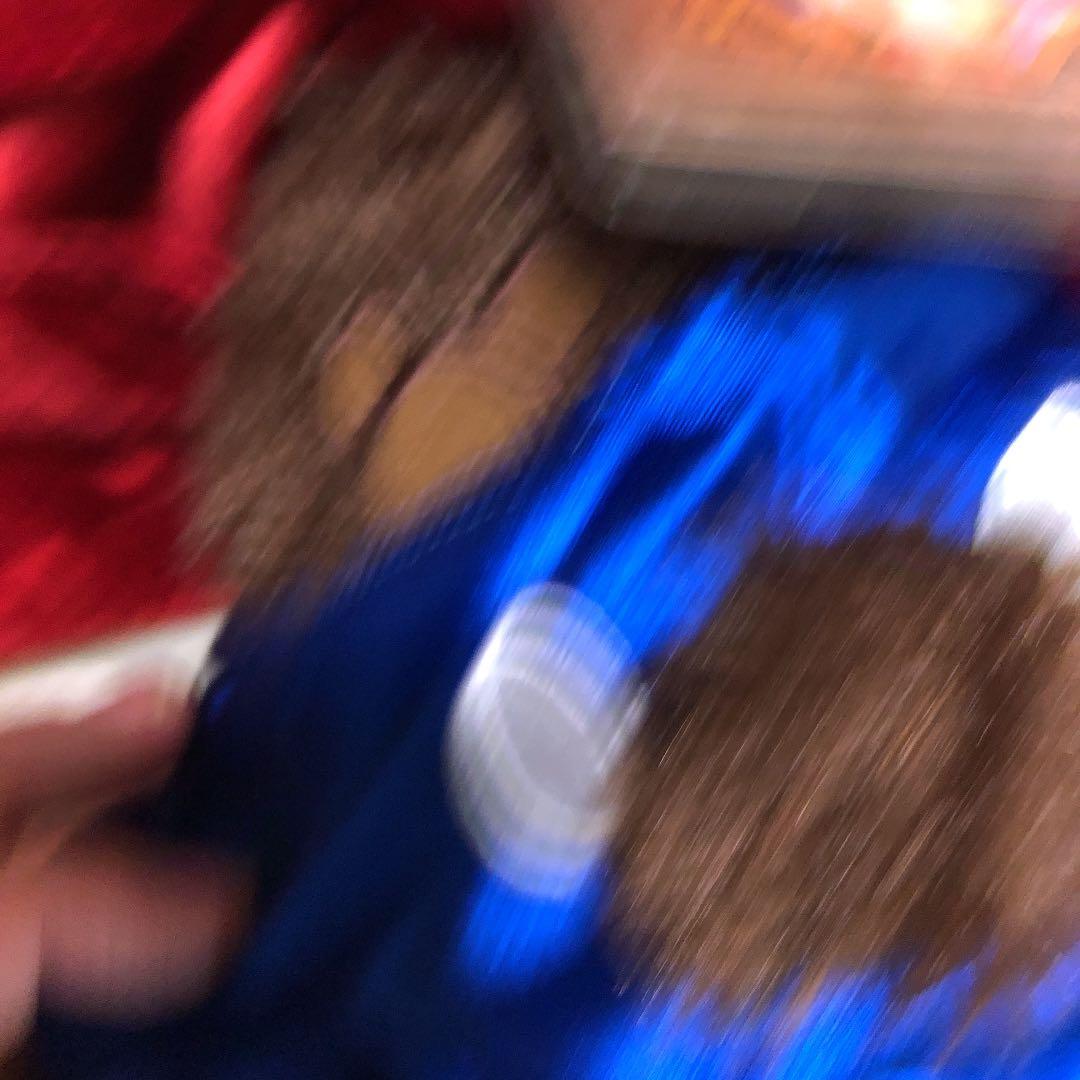 ファンタジア　コスチューム　海外ダッフィー