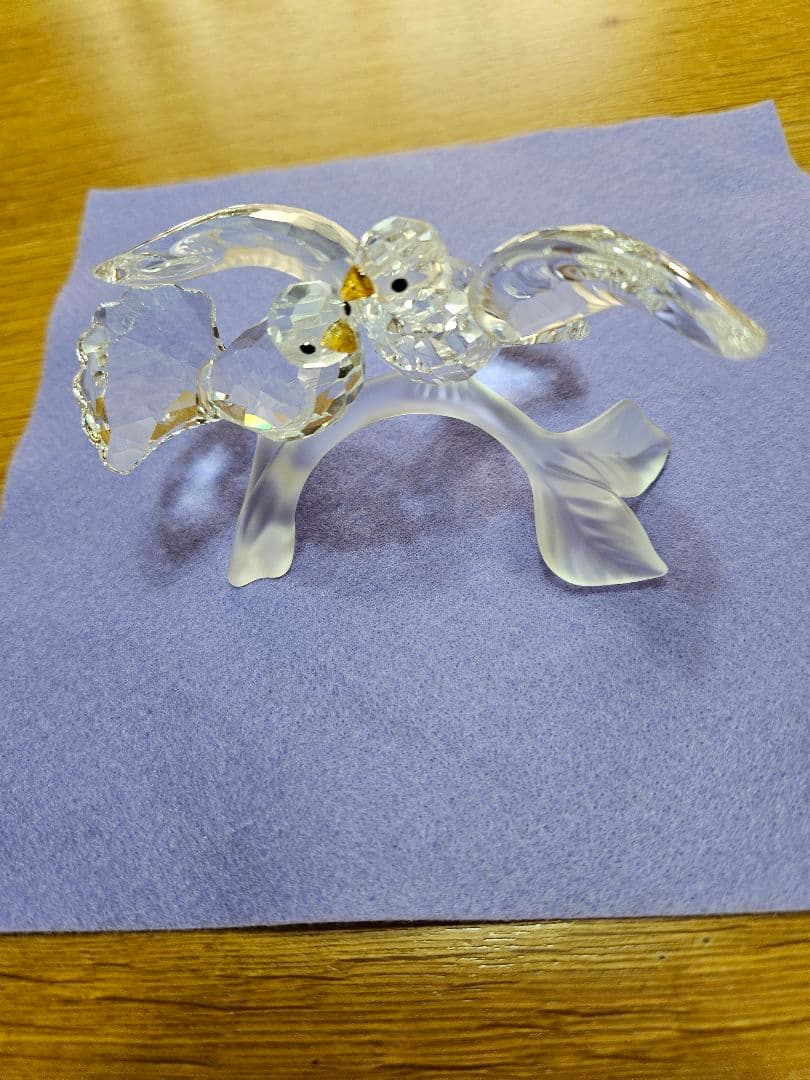 スワロフスキーのキジバト