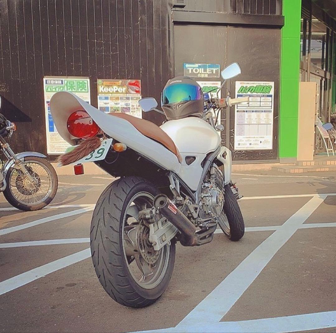 バリオス1型ZIIテール＆ZIIテールランプ＆フェンダーレス3点セット