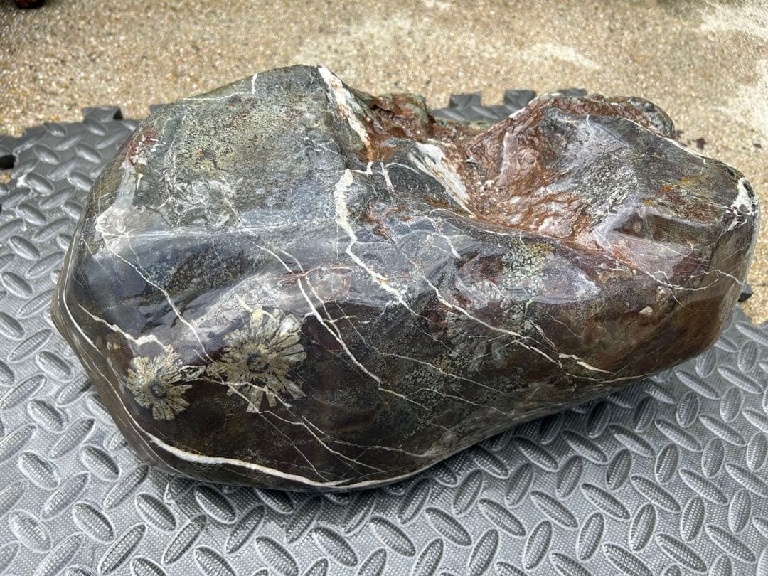 つくばい 菊花石 25kg 鑑賞石 水石 天然石 自然石 盆石