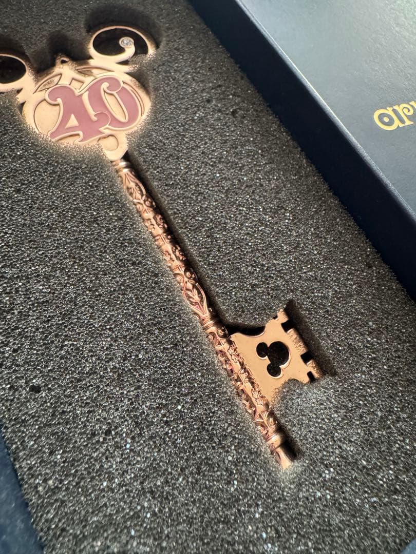 arribas ディズニーランド40周年限定　鍵　キー