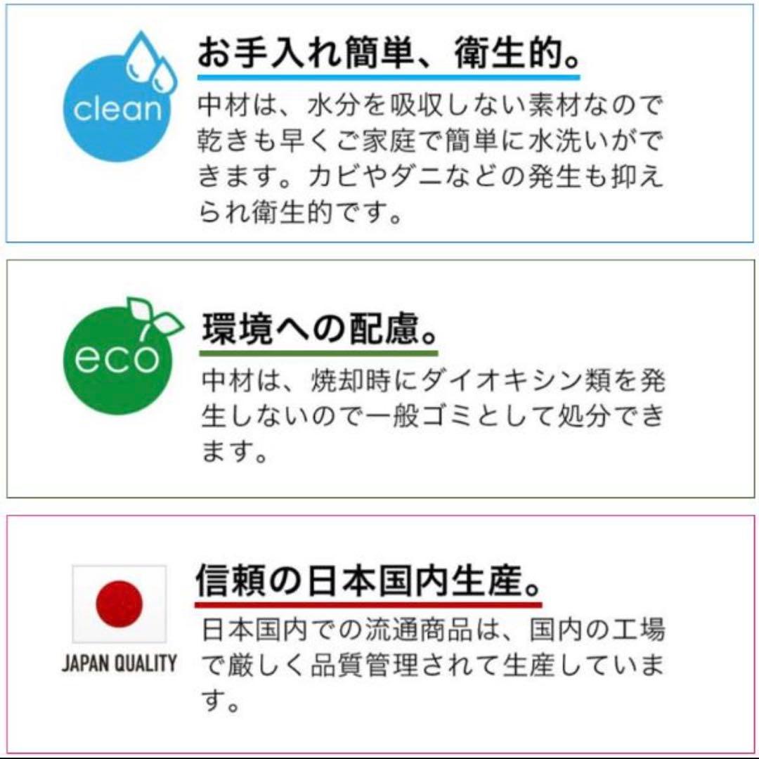 95,150円のお品　DOME3 LARGE エアバギー　プレミアムエディション