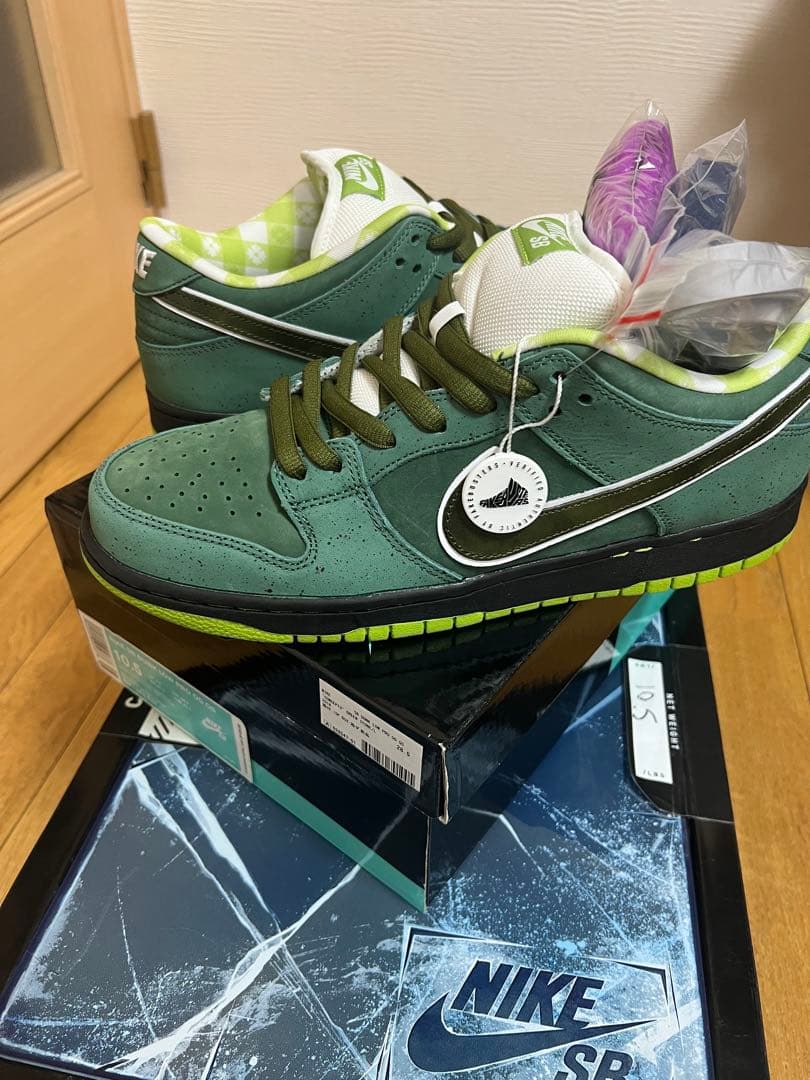 コンセプツ × ナイキ SB ダンク ロー プロ \