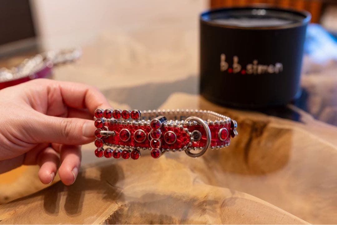 Supreme リード　犬　ペット　stussy