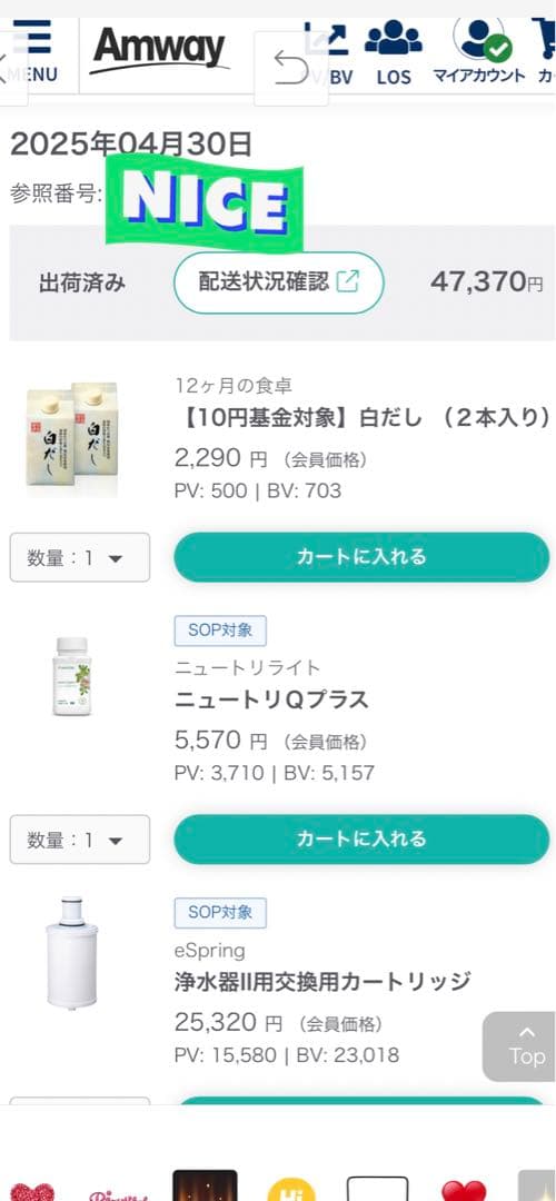 【新品】アムウェイ　eSpring浄水器Ⅱ eSpring 交換用カートリッジ