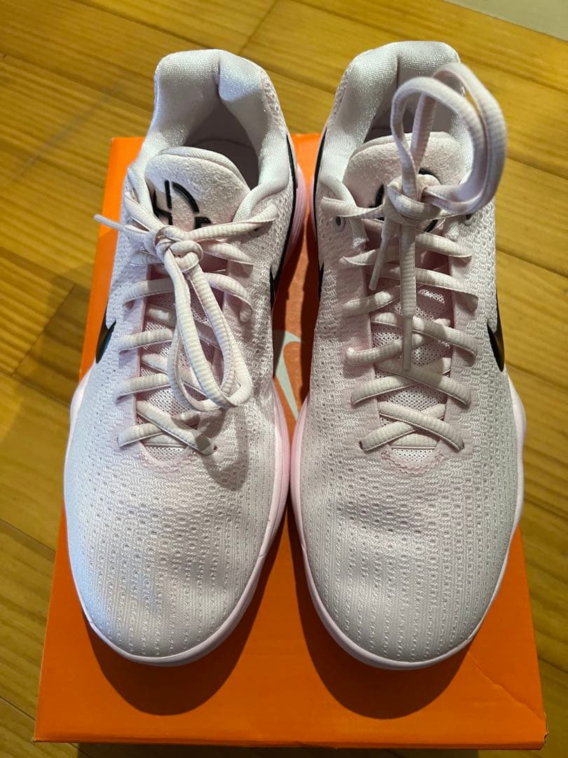 Nike ハイパーダンク2017 26cm