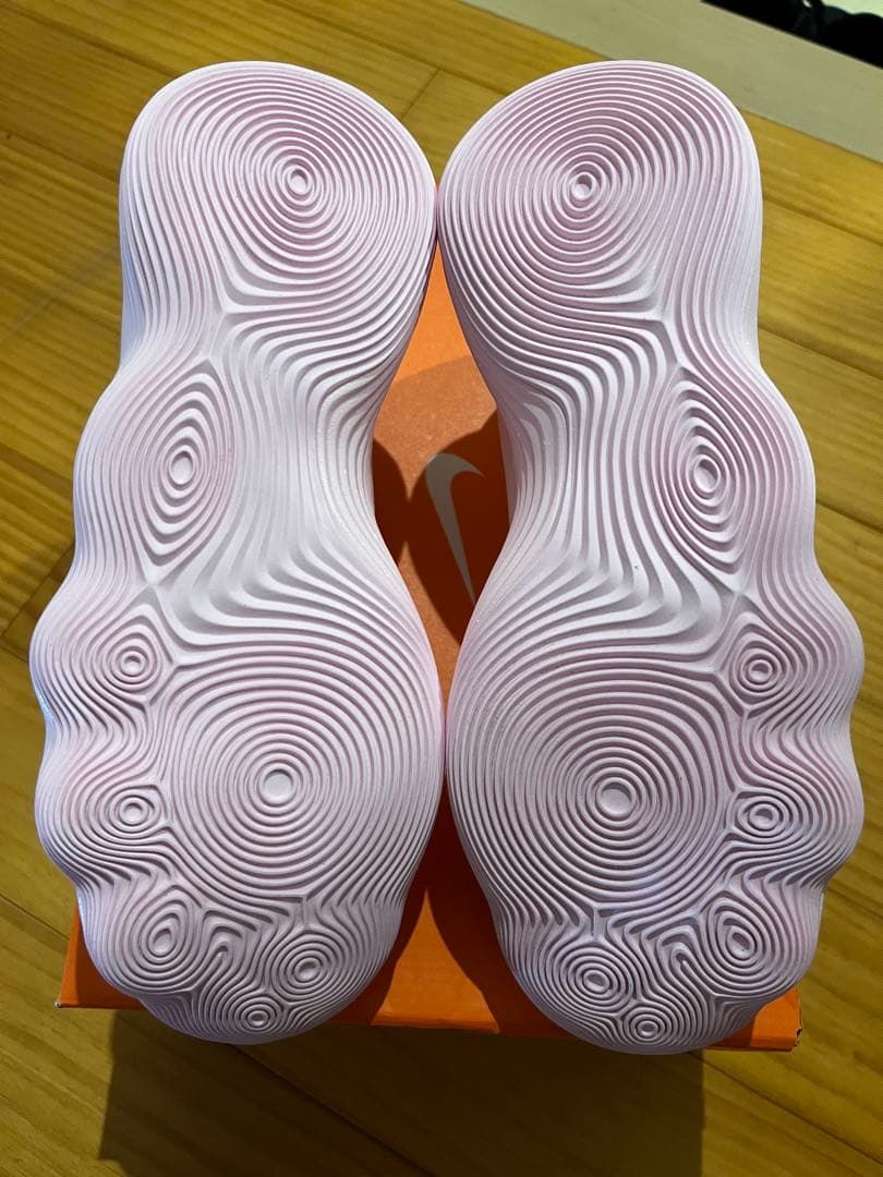 Nike ハイパーダンク2017 26cm