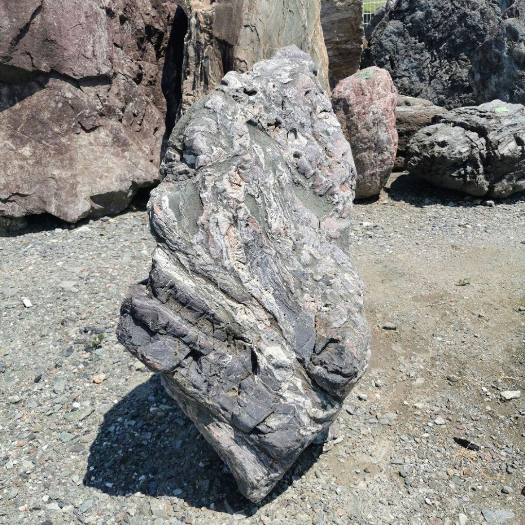 北海道産　三石　262キロ　庭石　鑑賞石 石　庭　坪庭　ガーデニング