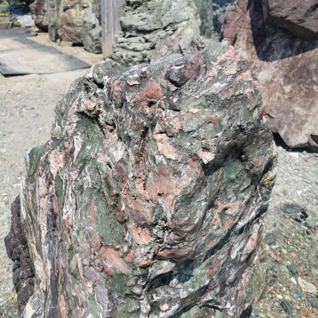 北海道産　三石　262キロ　庭石　鑑賞石 石　庭　坪庭　ガーデニング