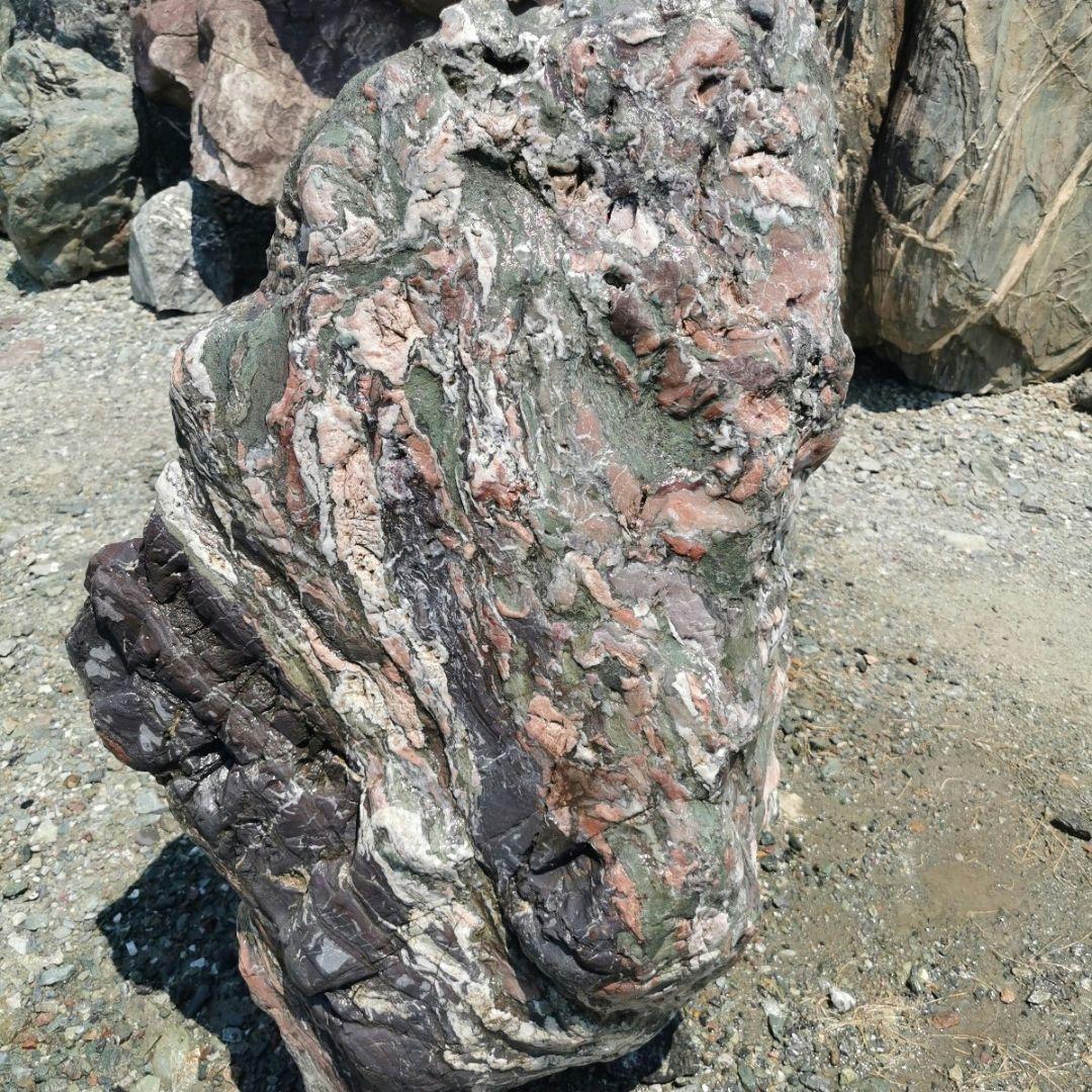 北海道産　三石　262キロ　庭石　鑑賞石 石　庭　坪庭　ガーデニング