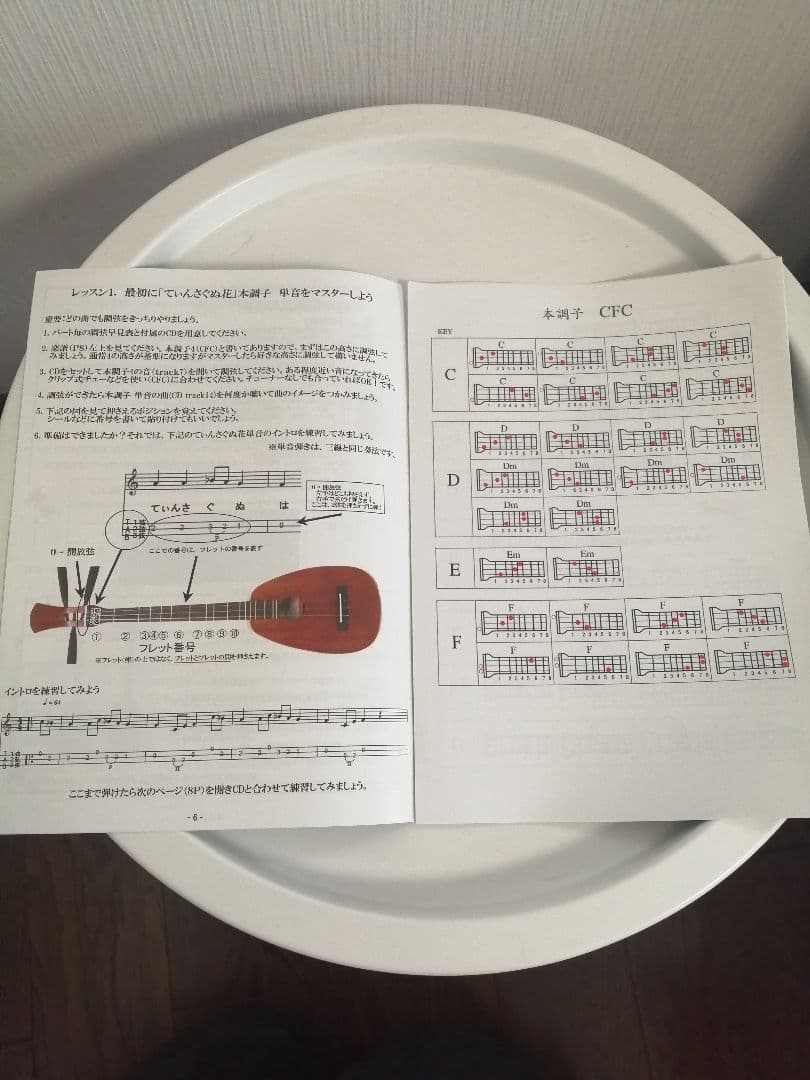 沖縄楽器 サンレレ