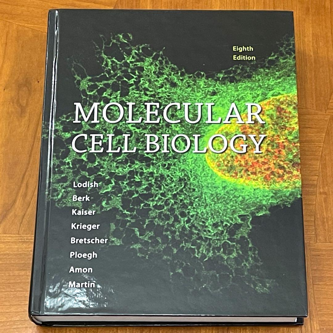 美品【送料込】Molecular Cell Biology 英語版 定価 5万円