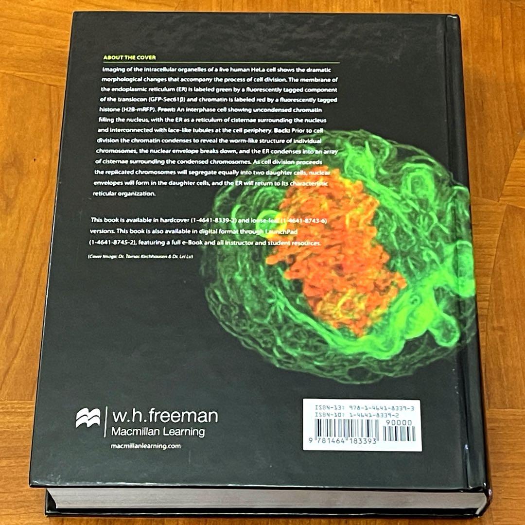 美品【送料込】Molecular Cell Biology 英語版 定価 5万円