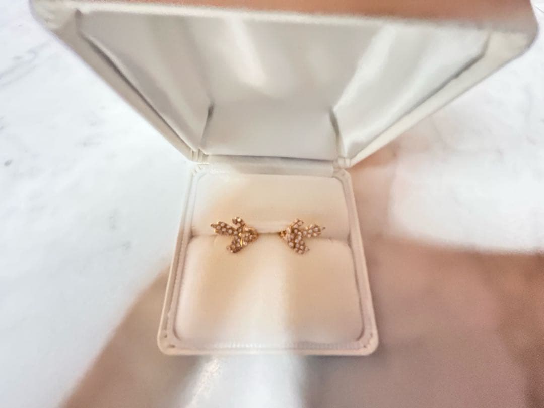 SAN MARE K18 フェアリーバード　ダイヤモンド ピアス