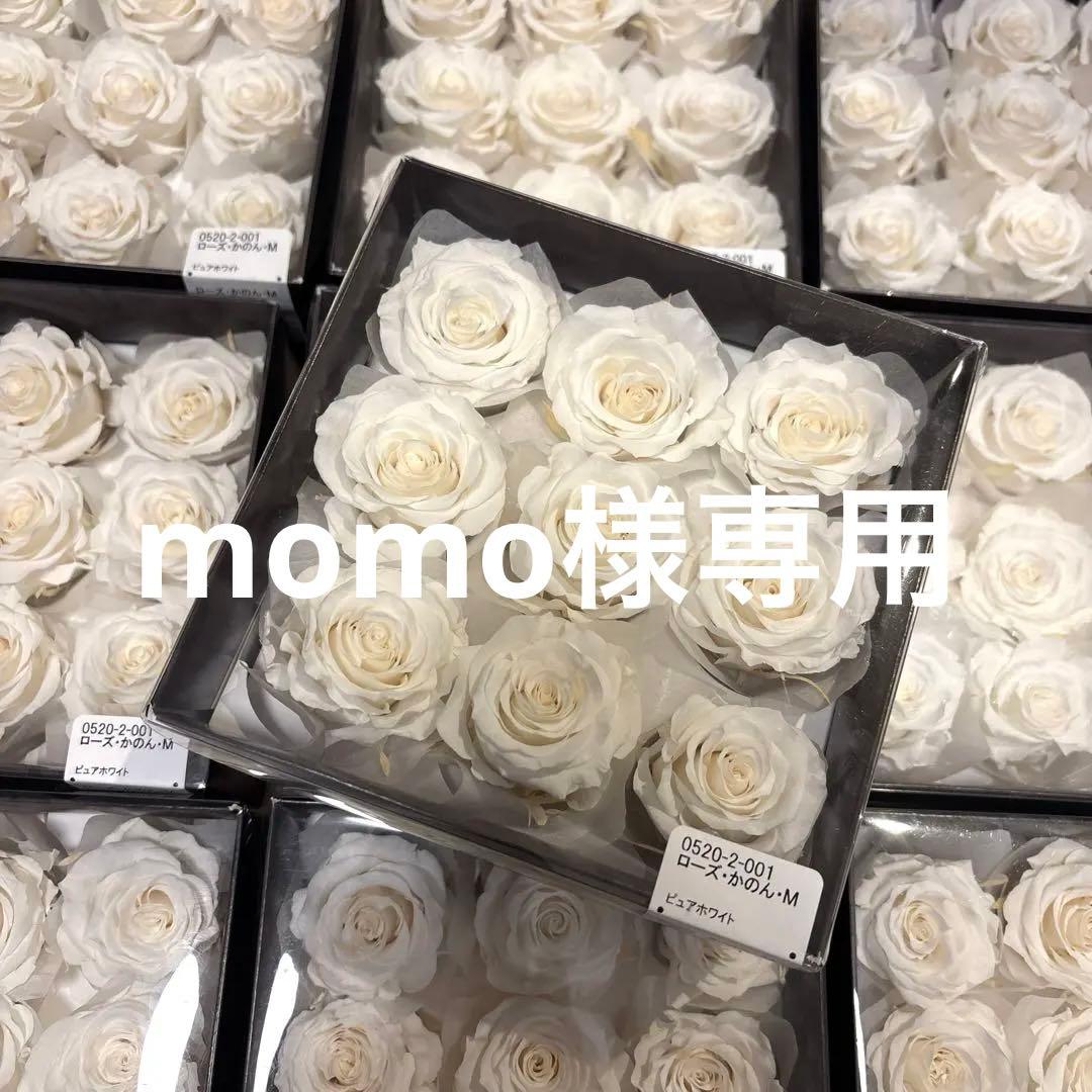 プリザーブドフラワー ローズかのんM ピュアホワイト／残り4箱