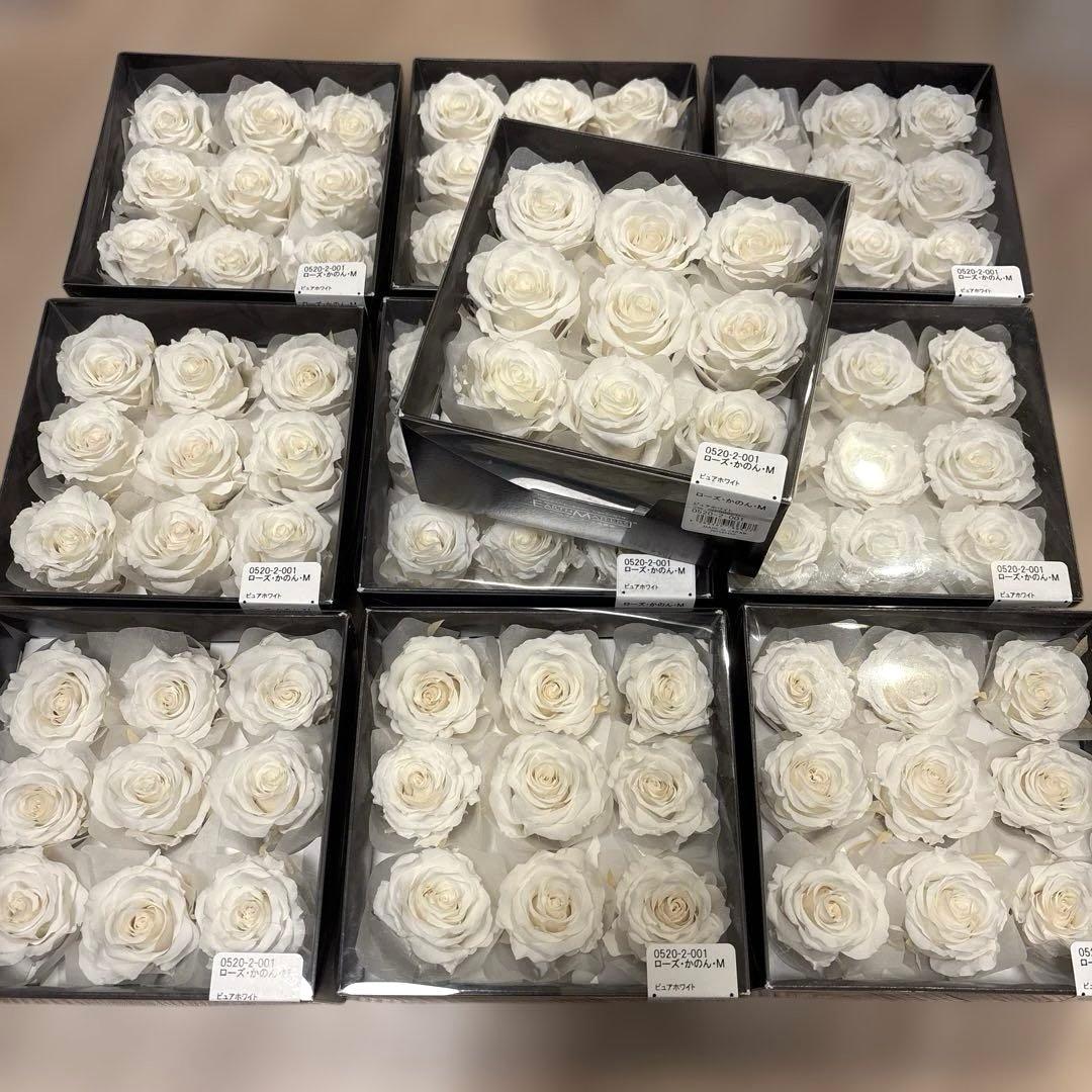 プリザーブドフラワー ローズかのんM ピュアホワイト／残り4箱