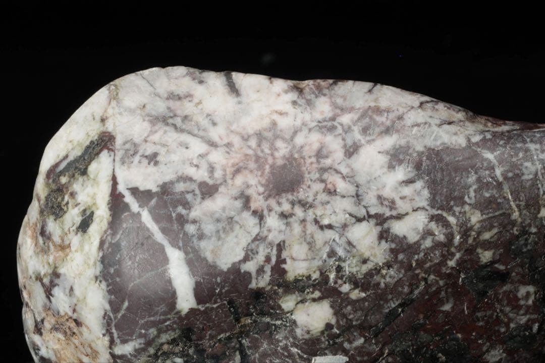 【希少・美石】菊花石 菊紋石 白菊 696g 天然石 水石 盆石 盆景 鉱物