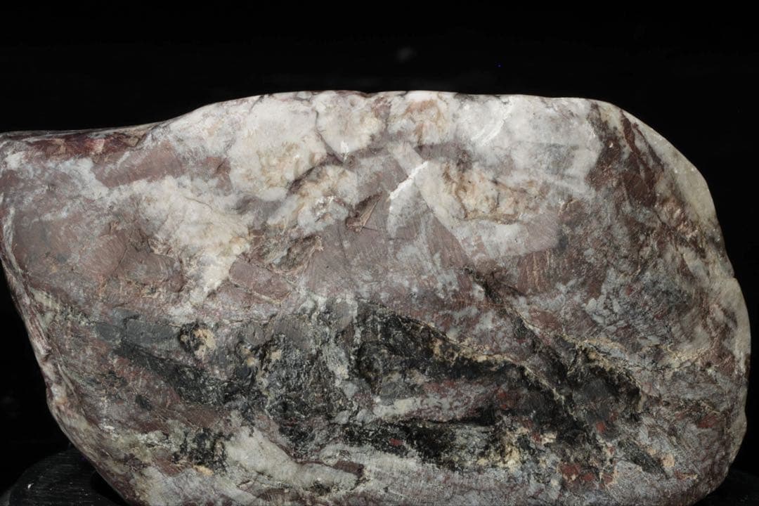 【希少・美石】菊花石 菊紋石 白菊 696g 天然石 水石 盆石 盆景 鉱物