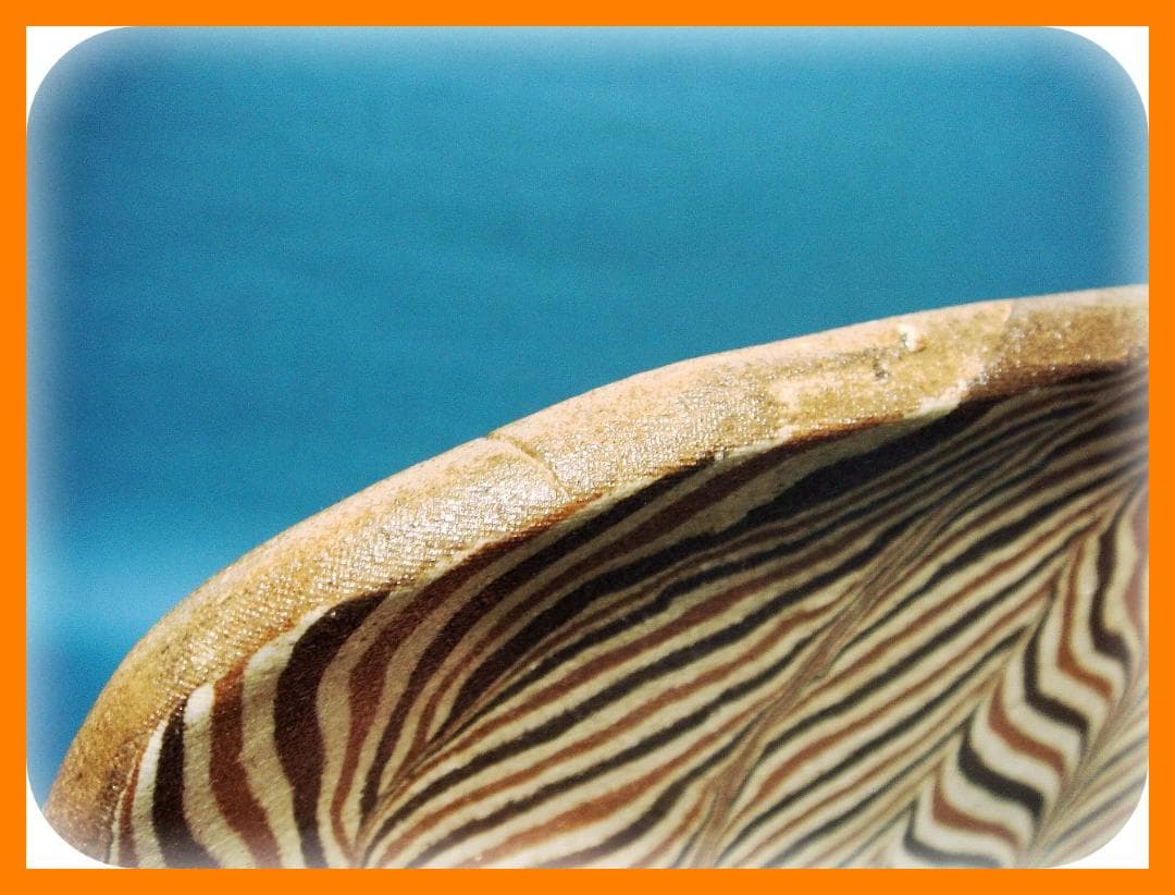 446『練上手 皿』　/骨董品 古美術 古玩 アンティーク