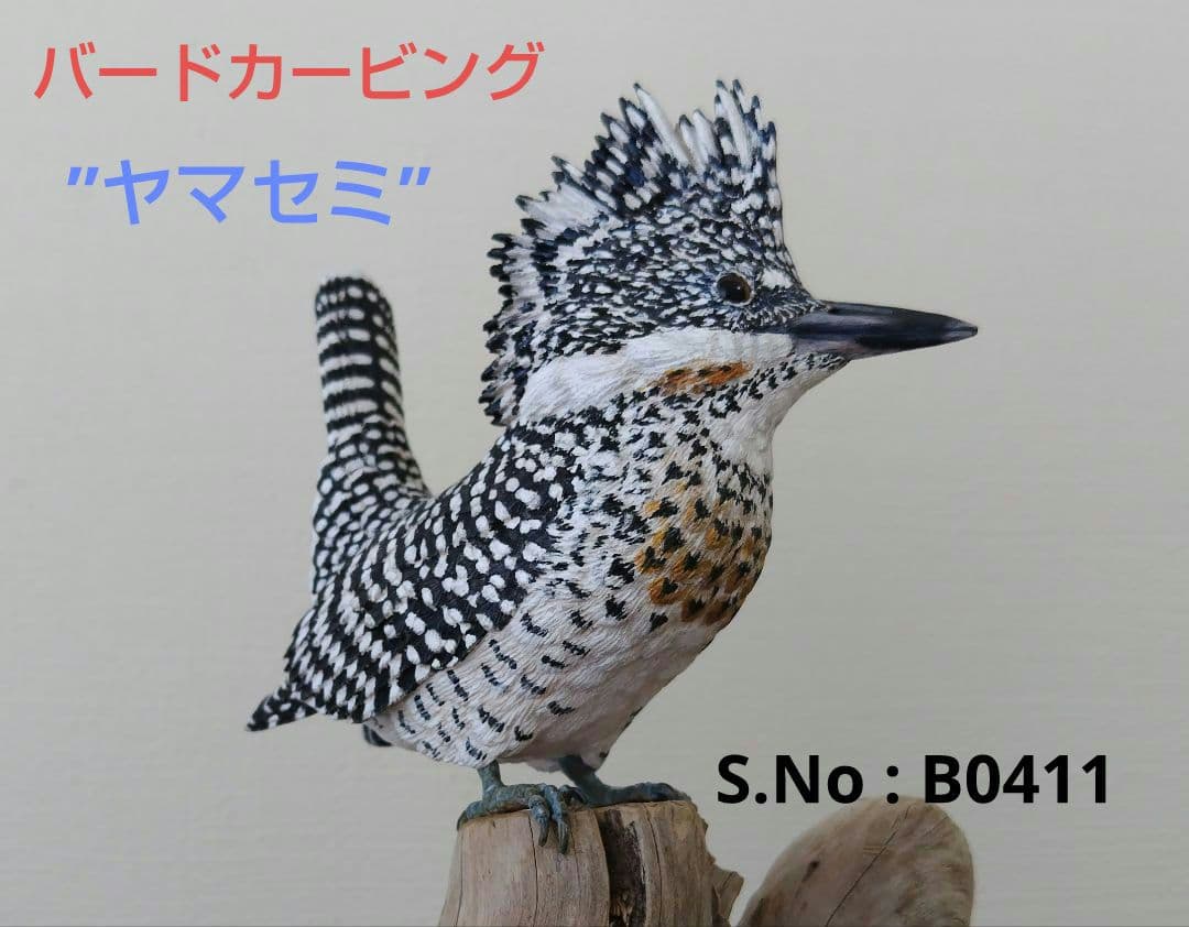 バードカービング”ヤマセミ”(山翡翠）40%スケール S.No.:B04711