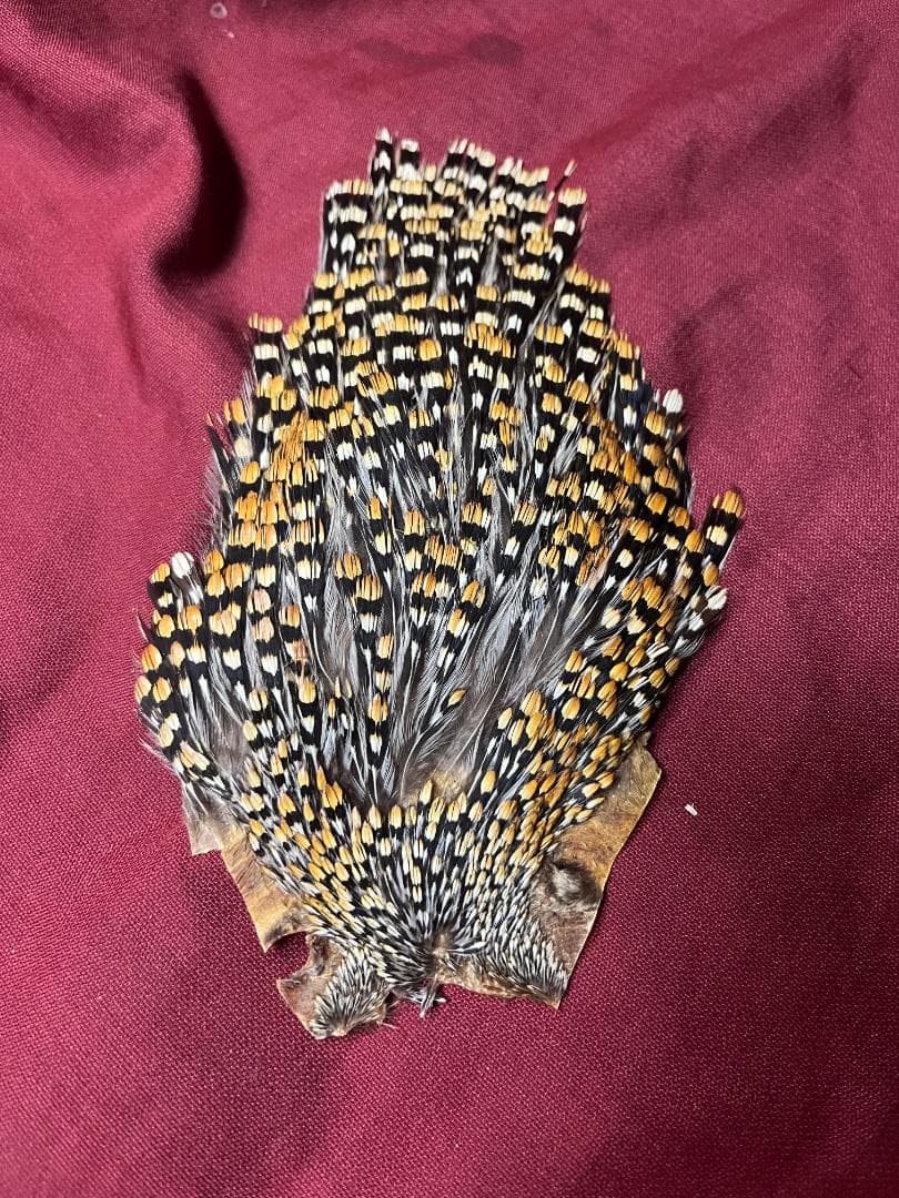 ジャングルコック