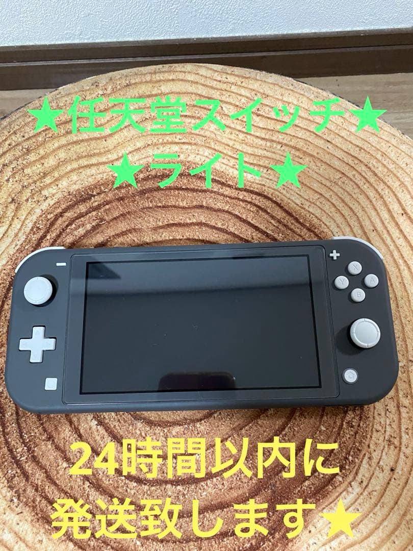 Nintendo Switch Lite グレー　本体のみ　箱無し