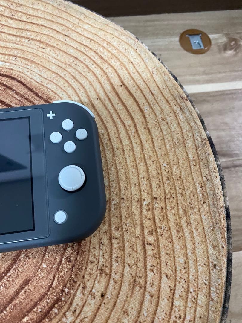 Nintendo Switch Lite グレー　本体のみ　箱無し