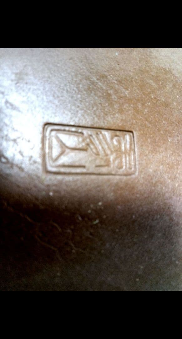 【中品 五葉松盆栽】真柏…　　　葉性、短葉(1.5㎝) 樹幅70㎝