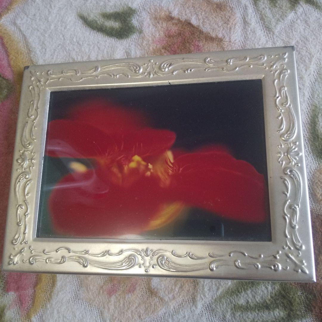 春名芙蓉   熱き想い