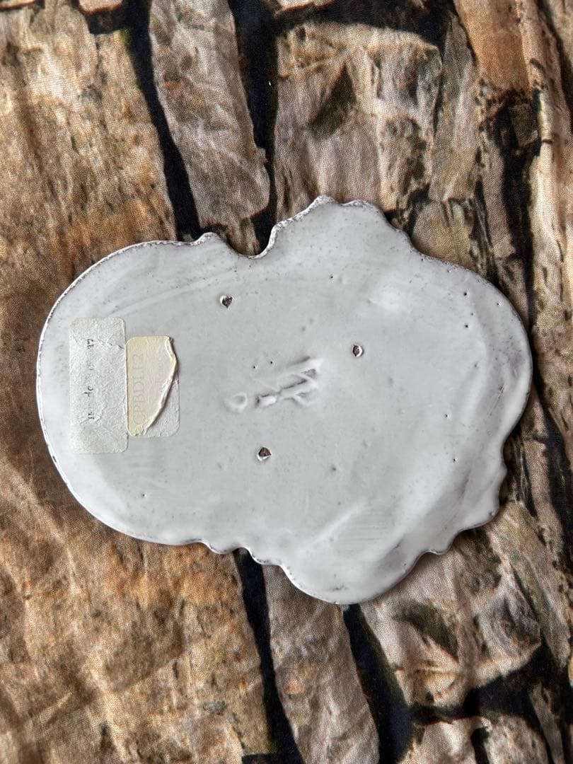 ASTIER de VILLATTE Dolly Dish セット