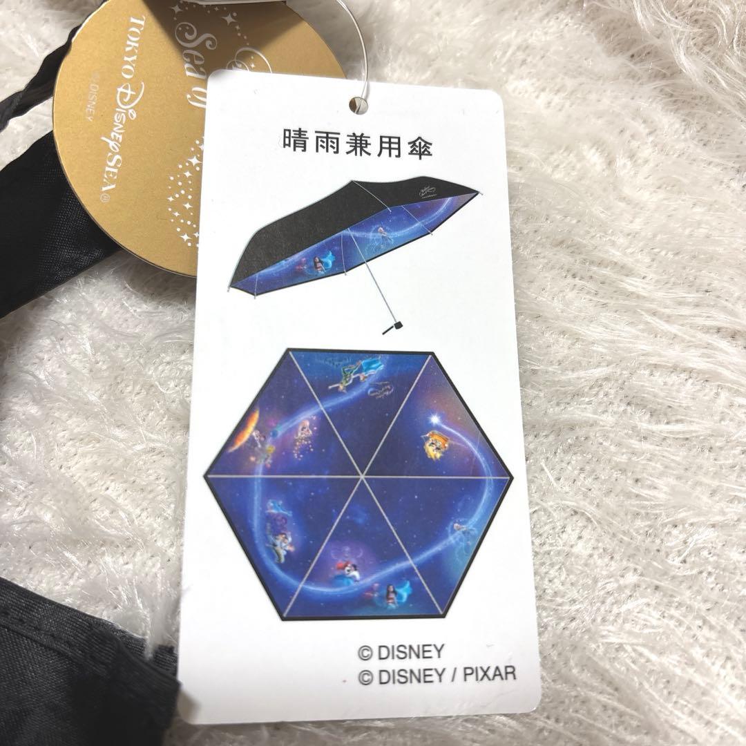 ディズニー　ビリーヴ!　日傘