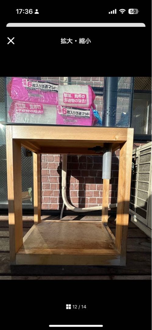 るいオーバーフロー水槽