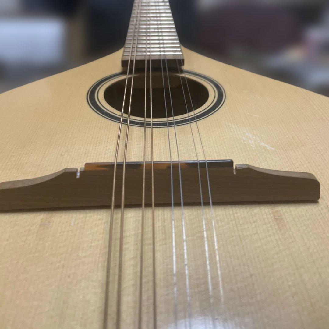 t*a様 ブズーキ　ソフトケース付　24年に弦交換済み