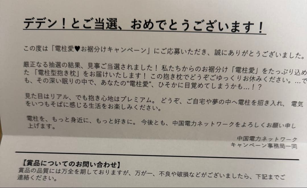 【非売品】【未開封】電柱型抱き枕　電柱愛♥お裾分けキャンペーン！当選品【超レア】
