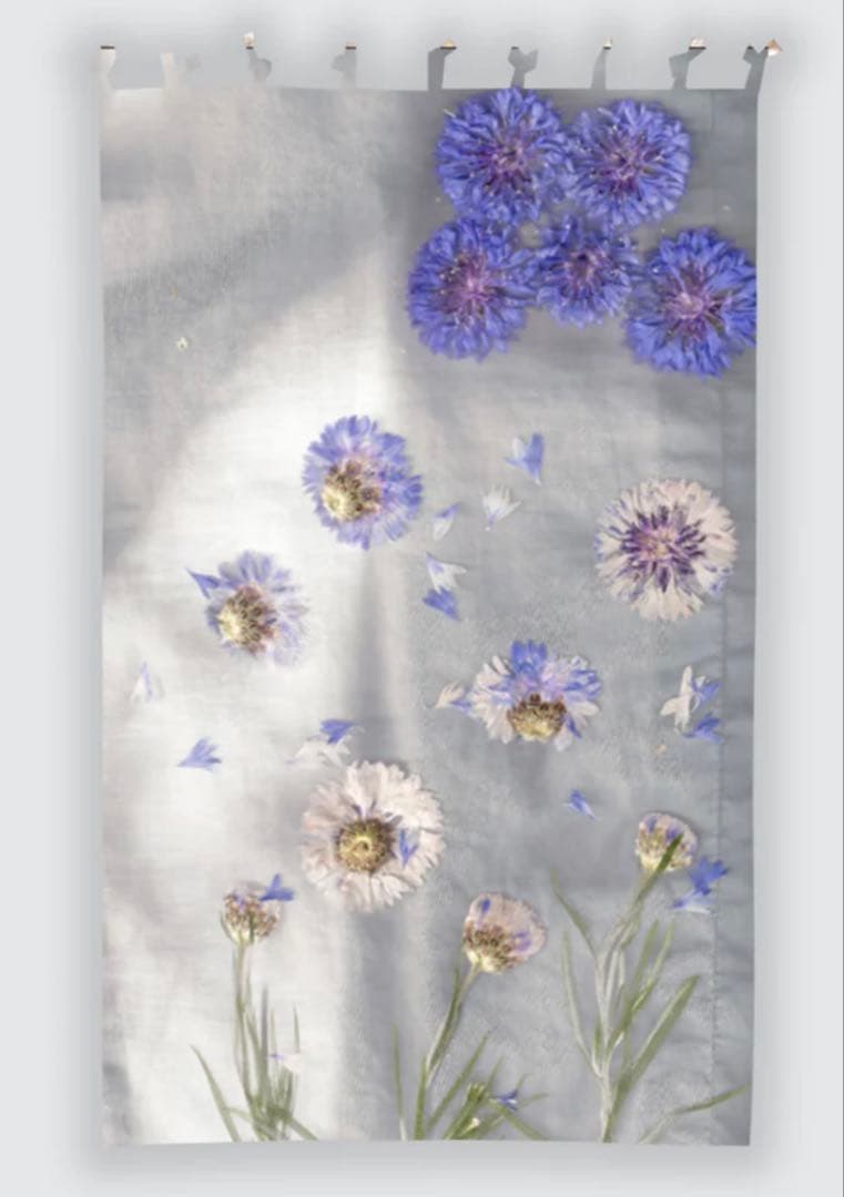 Colomba leddi コロンバレッディ　カーテン