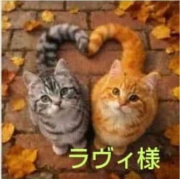 オーダーページ　4019 ハンカチ　ねこちゃん柄　再出品