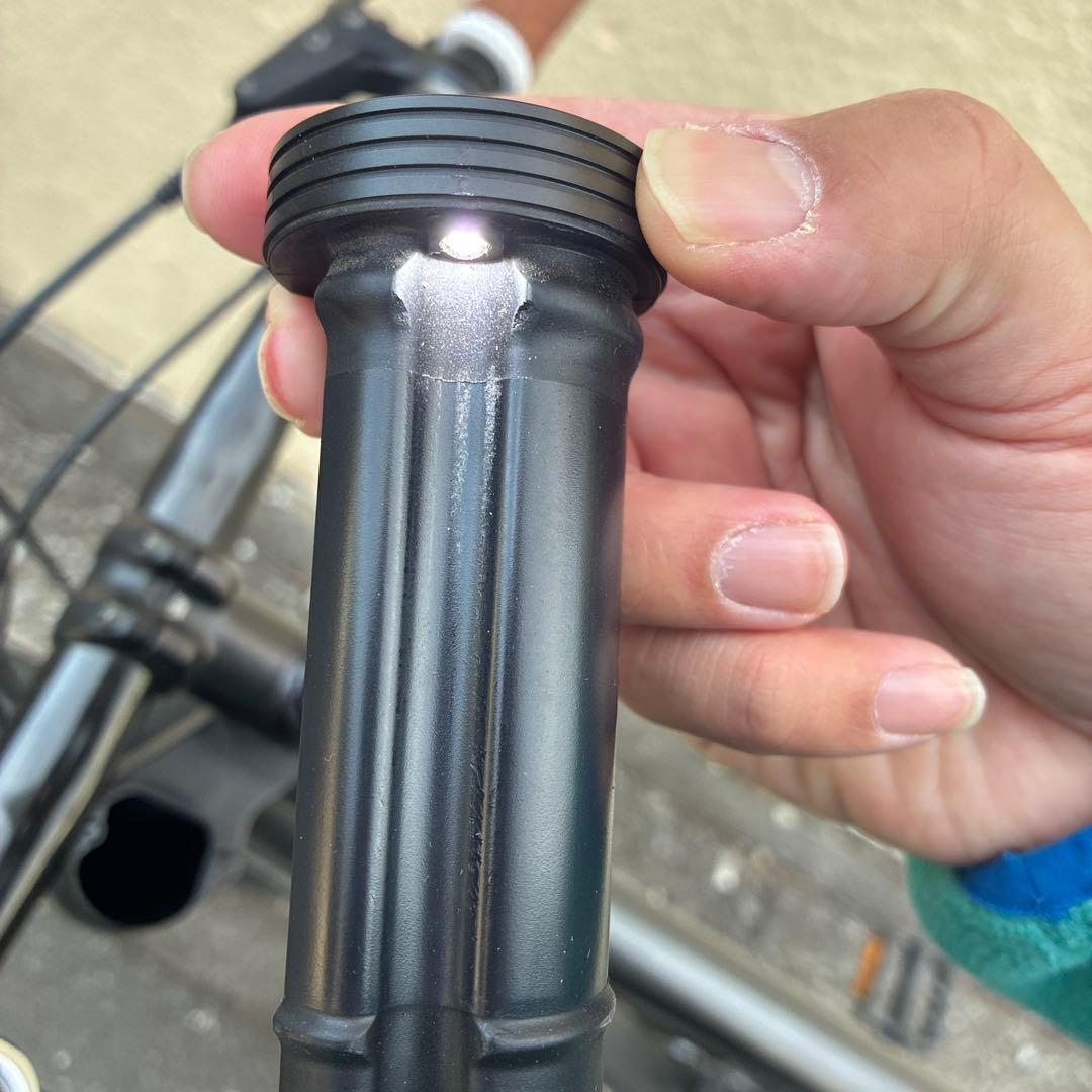 キャノンデール　badboy2 Lサイズ