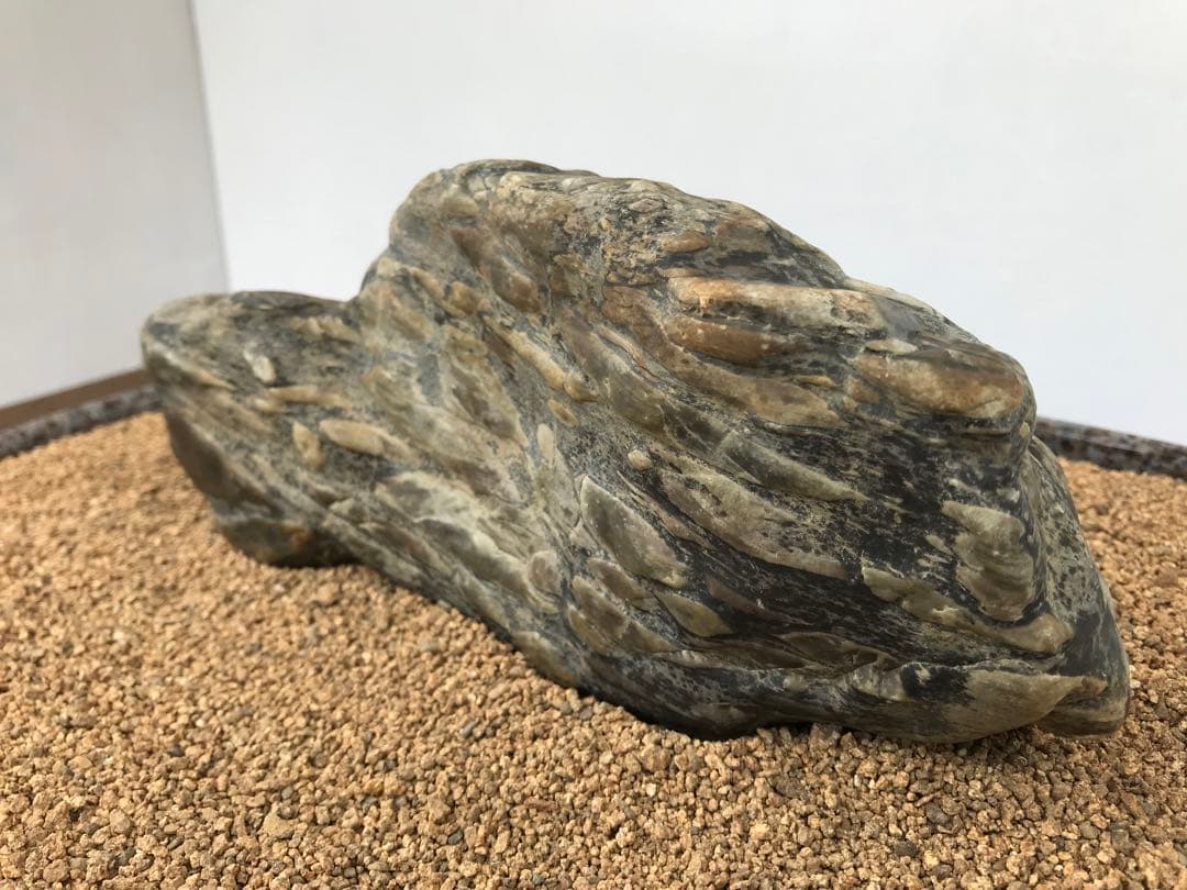 【水石】瀬田川『虎石』乱虎石