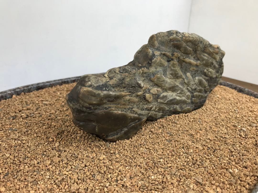 【水石】瀬田川『虎石』乱虎石