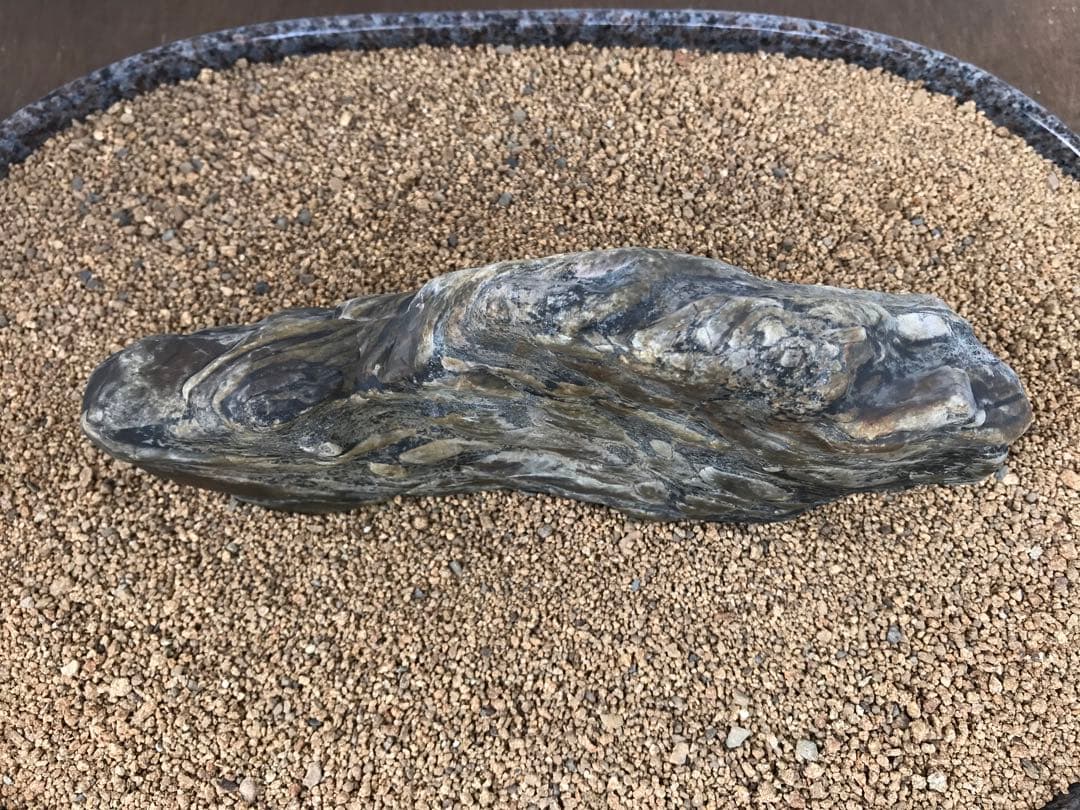 【水石】瀬田川『虎石』乱虎石